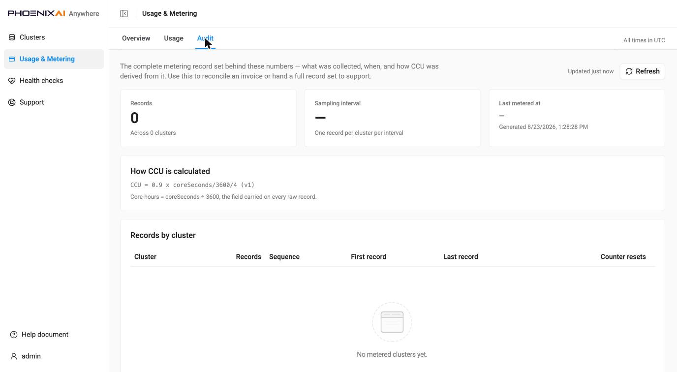 Usage & Metering, Audit — a new cluster, no records yet