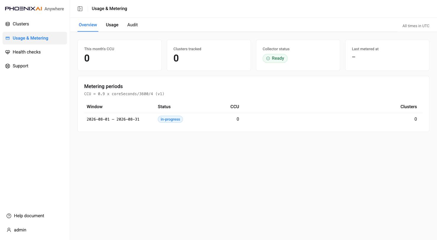 Usage & Metering, Overview — a new cluster, before any usage has been sampled