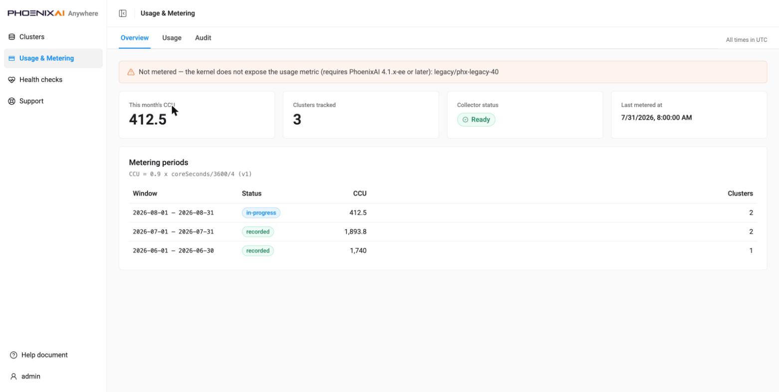 Usage & Metering, Overview — a cluster with accumulated usage